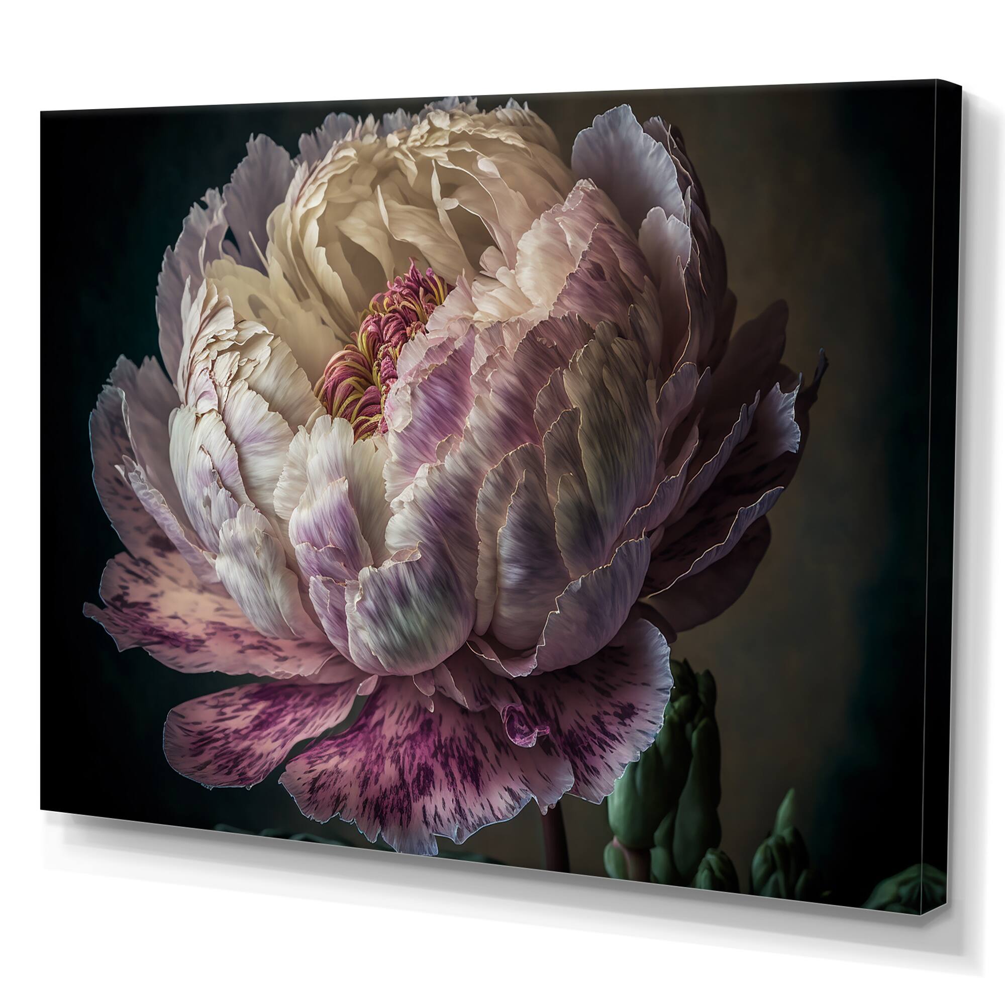 Designart "Blossoming Pink And White Peony II" Floral Peony Canvas Wall